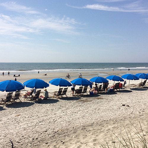 Enjoy the warm year-round climate of Hilton Head Island at the S.R Hotel, a Hilton Head Hotel located near the beach and cater to those looking for a budget-friendly vacation.