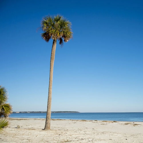 Welcome to S.R Hotel! We're a Hilton Head Hotel located near the beach and cater to those looking for a budget-friendly vacation.